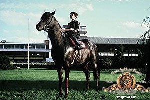 Obrazek